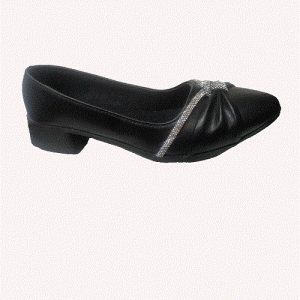 کفش کالج پاپیونی